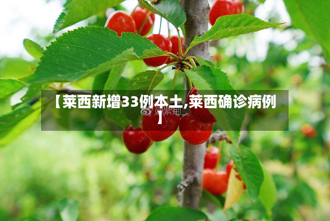 【莱西新增33例本土,莱西确诊病例】-第3张图片
