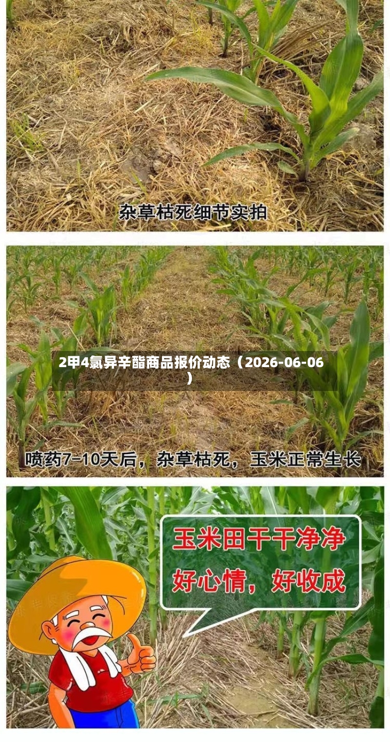 2甲4氯异辛酯商品报价动态（2026-06-06）