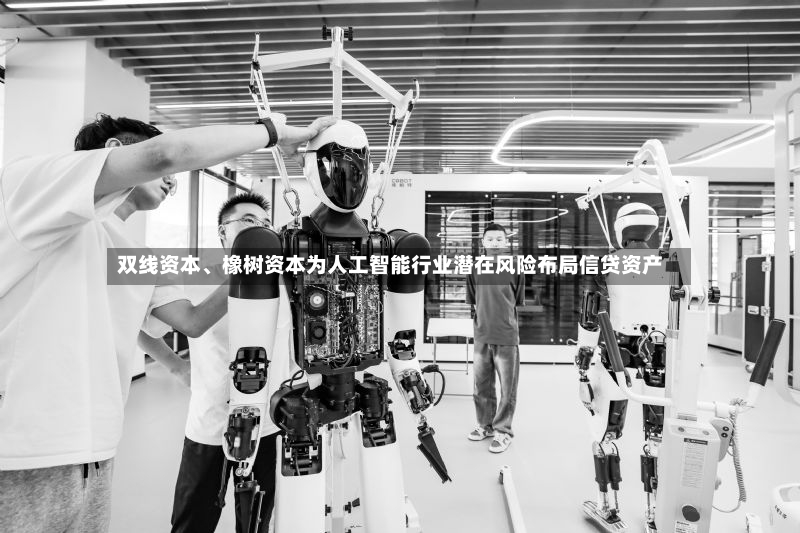 双线资本、橡树资本为人工智能行业潜在风险布局信贷资产-第3张图片