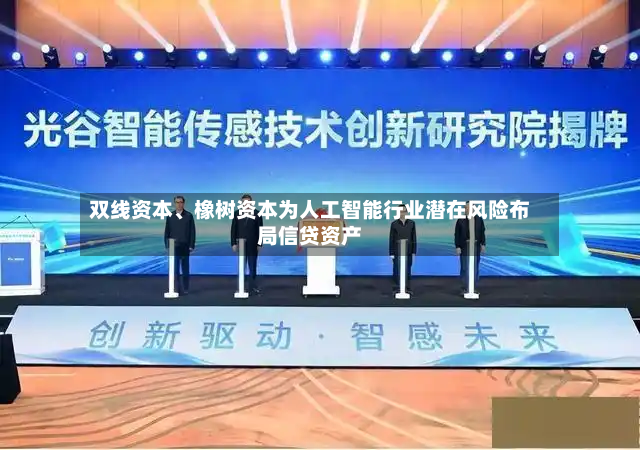 双线资本、橡树资本为人工智能行业潜在风险布局信贷资产-第2张图片