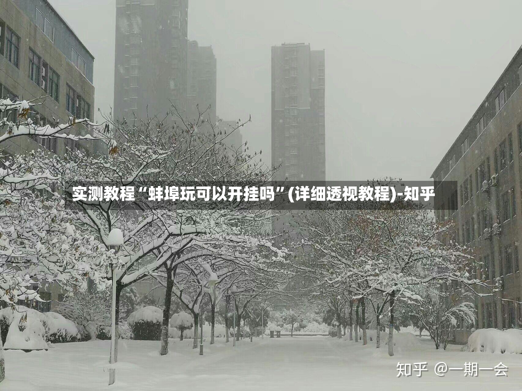 实测教程“蚌埠玩可以开挂吗”(详细透视教程)-知乎-第3张图片