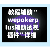 教程辅助“wepokerplus辅助透视插件”详细分享装挂步骤教程-第2张图片