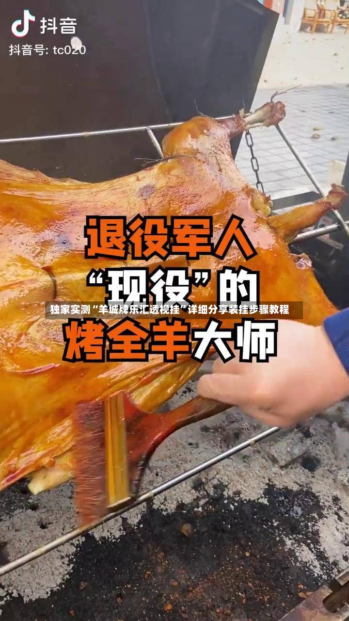 独家实测“羊城牌乐汇透视挂”详细分享装挂步骤教程-第3张图片