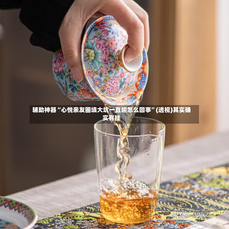 辅助神器“心悦亲友圈填大坑一直输怎么回事”(透视)其实确实有挂-第2张图片