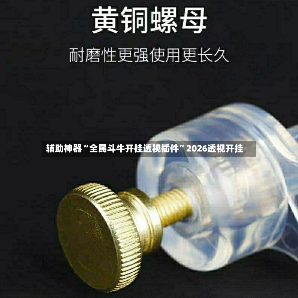 辅助神器“全民斗牛开挂透视插件”2026透视开挂