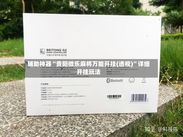 辅助神器“贵阳微乐麻将万能开挂(透视)”详细开挂玩法-第3张图片