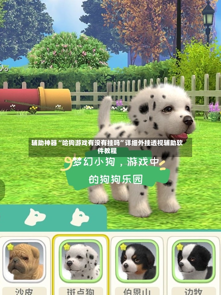 辅助神器“哈狗游戏有没有挂吗	”详细外挂透视辅助软件教程-第2张图片