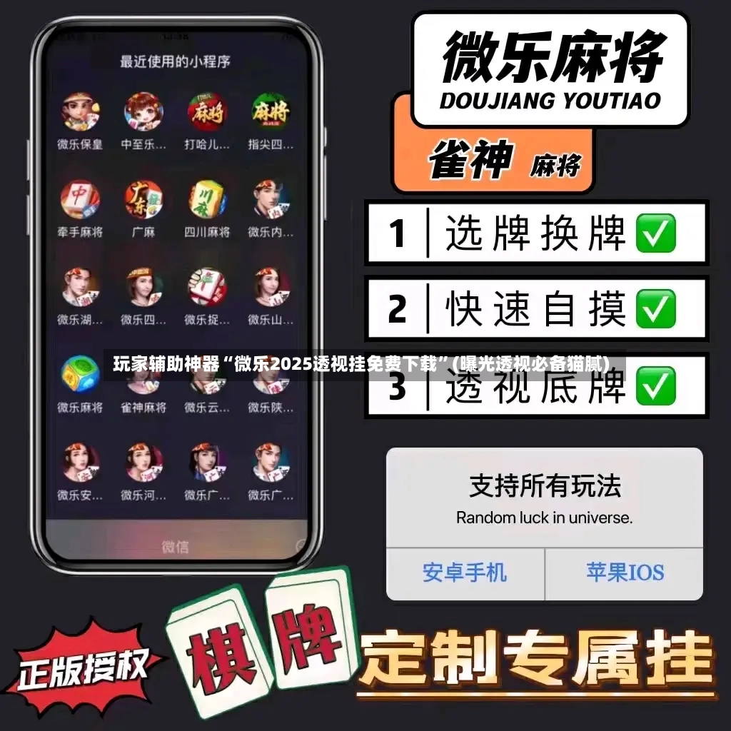 玩家辅助神器“微乐2025透视挂免费下载”(曝光透视必备猫腻)-第3张图片