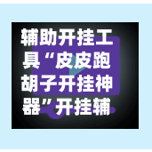 辅助开挂工具“皮皮跑胡子开挂神器	”开挂辅助脚本+详细开挂-第2张图片