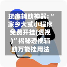 玩家辅助神器:“家乡大贰小程序免费开挂(透视)”揭秘透视辅助万能挂用法-第2张图片