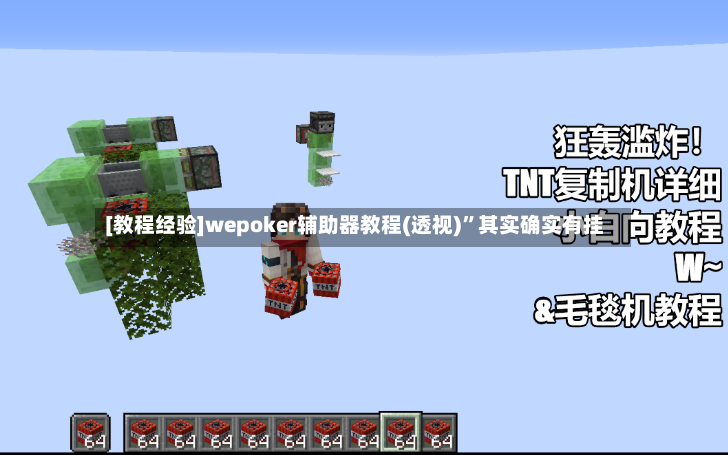 [教程经验]wepoker辅助器教程(透视)	”其实确实有挂-第2张图片