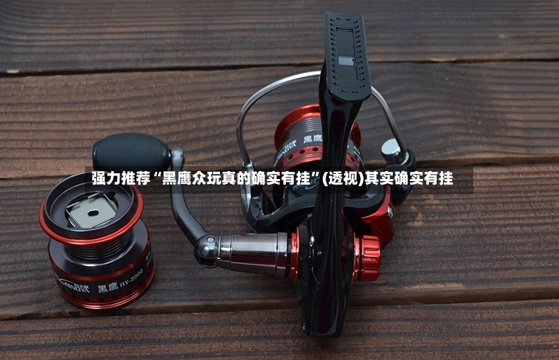 强力推荐“黑鹰众玩真的确实有挂	”(透视)其实确实有挂-第3张图片