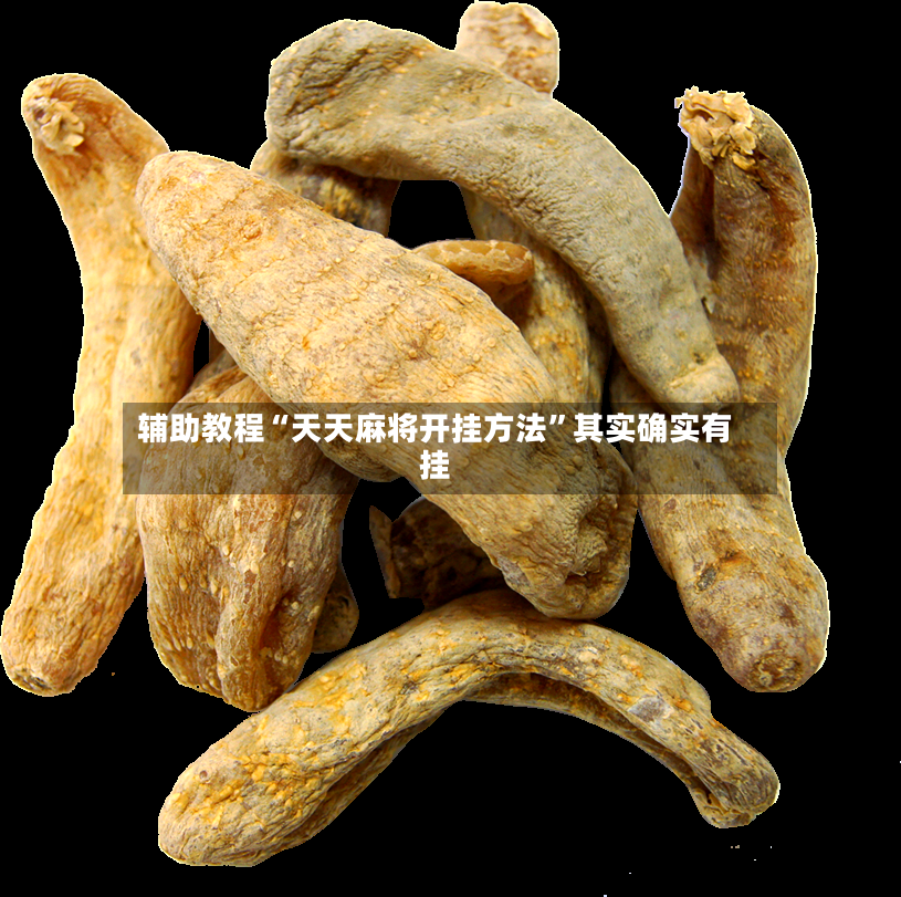 辅助教程“天天麻将开挂方法”其实确实有挂-第3张图片