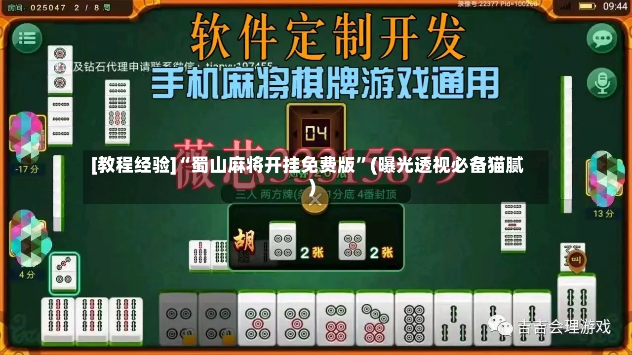 [教程经验]“蜀山麻将开挂免费版”(曝光透视必备猫腻)