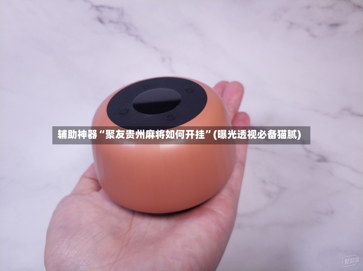辅助神器“聚友贵州麻将如何开挂”(曝光透视必备猫腻)-第2张图片
