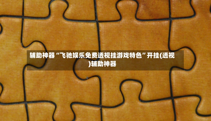 辅助神器“飞驰娱乐免费透视挂游戏特色”开挂(透视)辅助神器