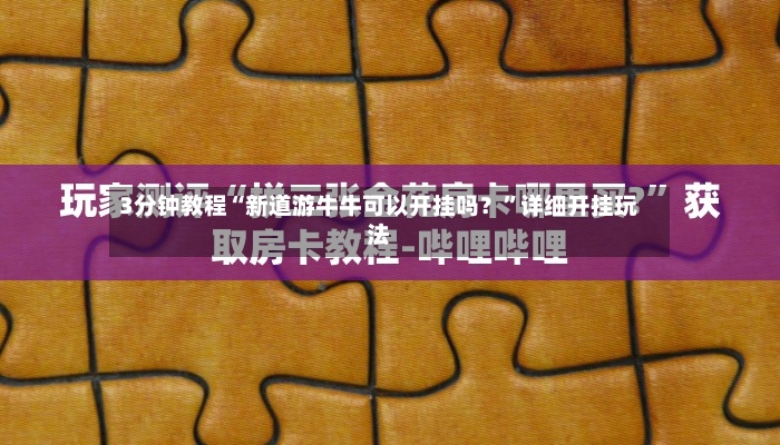3分钟教程“新道游牛牛可以开挂吗？”详细开挂玩法-第2张图片