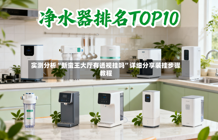 实测分析“新蛮王大厅有透视挂吗”详细分享装挂步骤教程-第3张图片