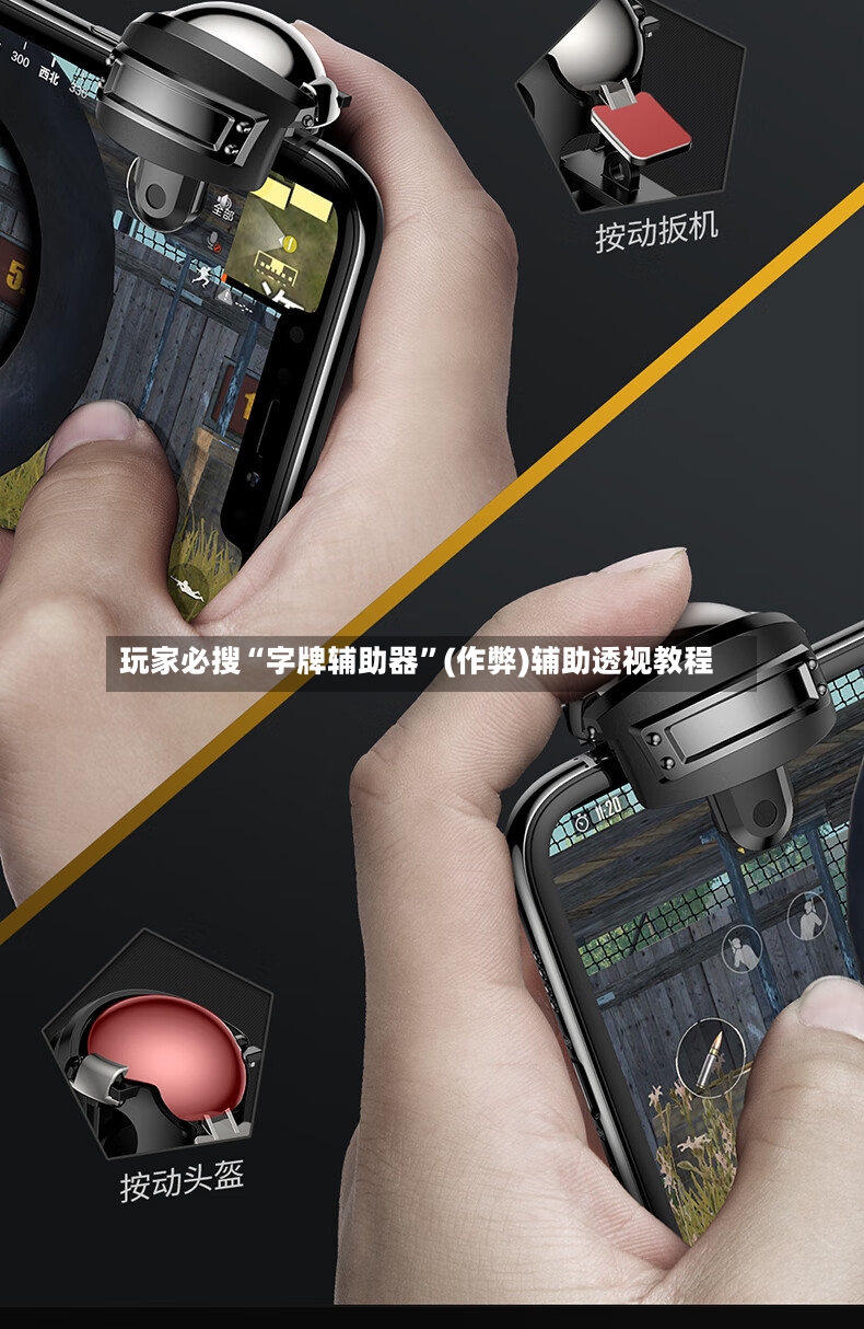 玩家必搜“字牌辅助器”(作弊)辅助透视教程-第3张图片