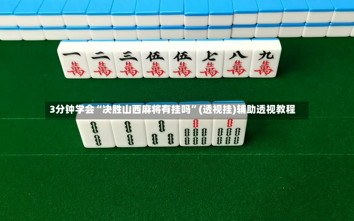 3分钟学会“决胜山西麻将有挂吗”(透视挂)辅助透视教程-第3张图片