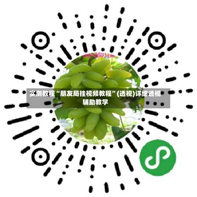 实测教程“朋友局挂视频教程”(透视)详细透视辅助教学