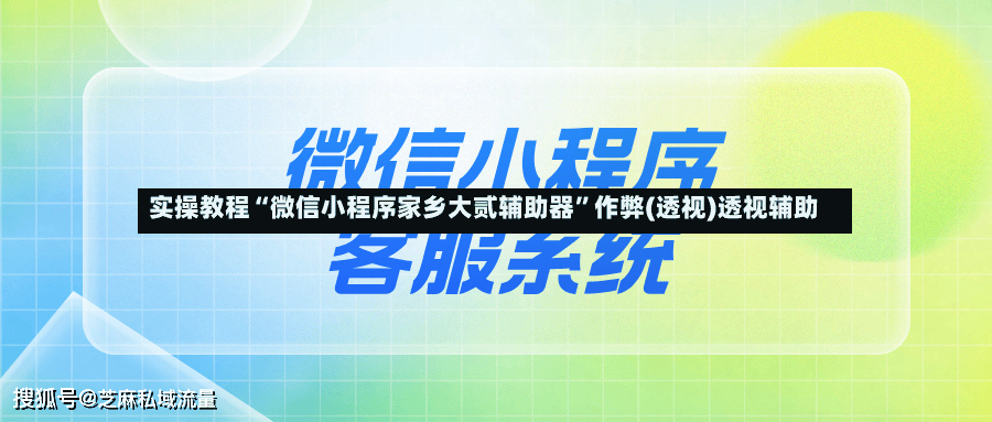 实操教程“微信小程序家乡大贰辅助器”作弊(透视)透视辅助-第2张图片