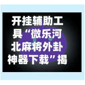 开挂辅助工具“微乐河北麻将外卦神器下载”揭秘透视辅助万能挂-第3张图片
