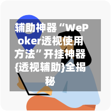 辅助神器“WePoker透视使用方法”开挂神器{透视辅助}全揭秘-第2张图片
