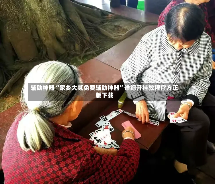 辅助神器“家乡大贰免费辅助神器	”详细开挂教程官方正版下载-第2张图片