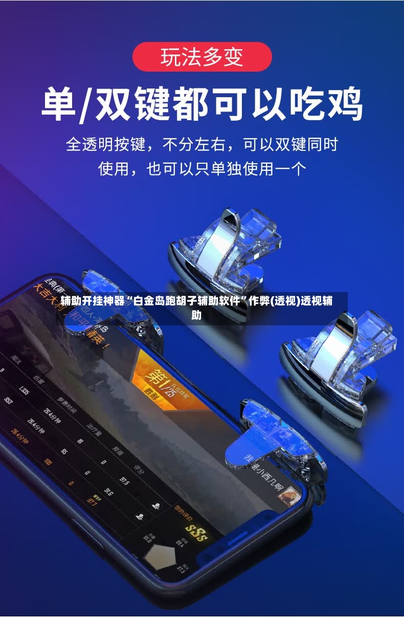 辅助开挂神器“白金岛跑胡子辅助软件”作弊(透视)透视辅助-第2张图片