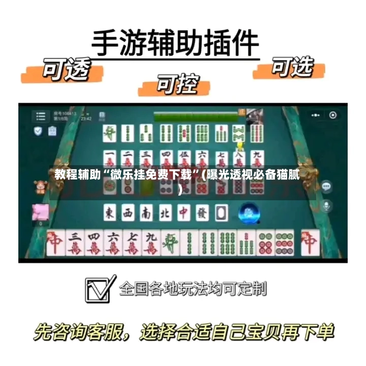 教程辅助“微乐挂免费下载”(曝光透视必备猫腻)-第2张图片