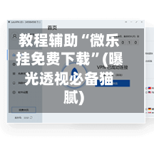 教程辅助“微乐挂免费下载	”(曝光透视必备猫腻)-第3张图片