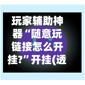 玩家辅助神器“随意玩链接怎么开挂?	”开挂(透视)辅助教程-第3张图片