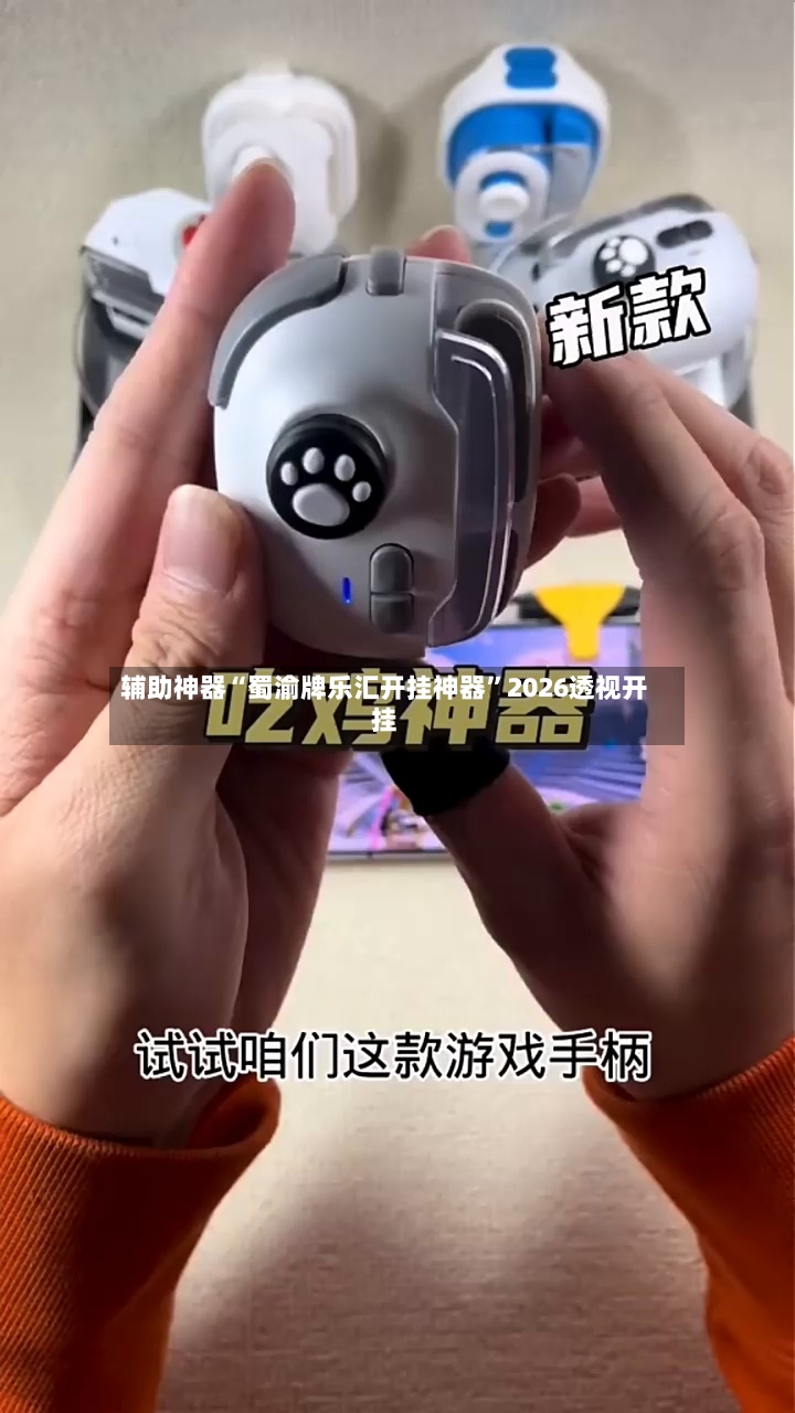 辅助神器“蜀渝牌乐汇开挂神器”2026透视开挂-第3张图片