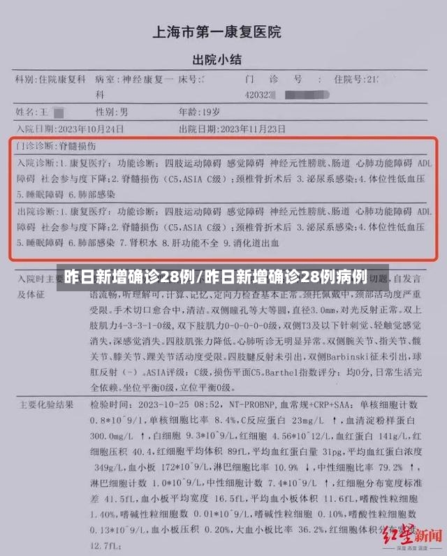昨日新增确诊28例/昨日新增确诊28例病例