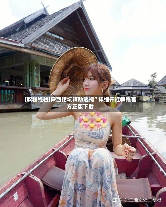 [教程经验]陕西挖坑辅助透视”详细开挂教程官方正版下载-第3张图片