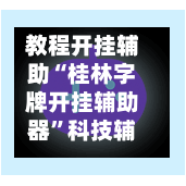 教程开挂辅助“桂林字牌开挂辅助器”科技辅助神器手机版教程-第3张图片