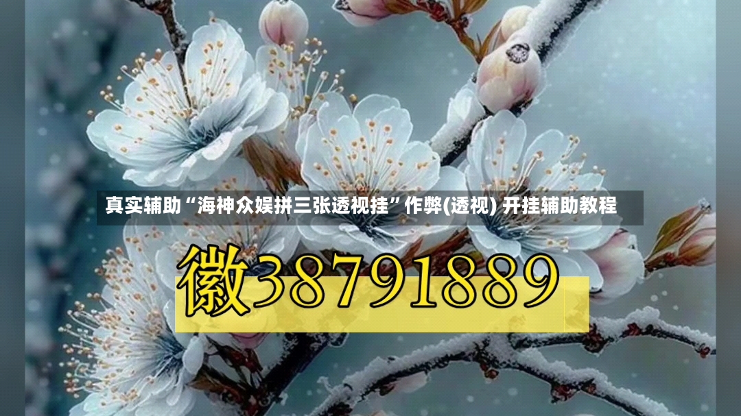 真实辅助“海神众娱拼三张透视挂”作弊(透视) 开挂辅助教程