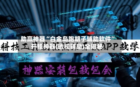 助赢神器“白金岛跑胡子辅助软件”开挂神器{透视辅助}全揭秘-第2张图片