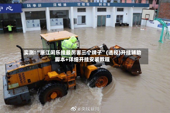 实测!“浙江闲乐挂最厉害三个牌子”(透视)开挂辅助脚本+详细开挂安装教程-第3张图片