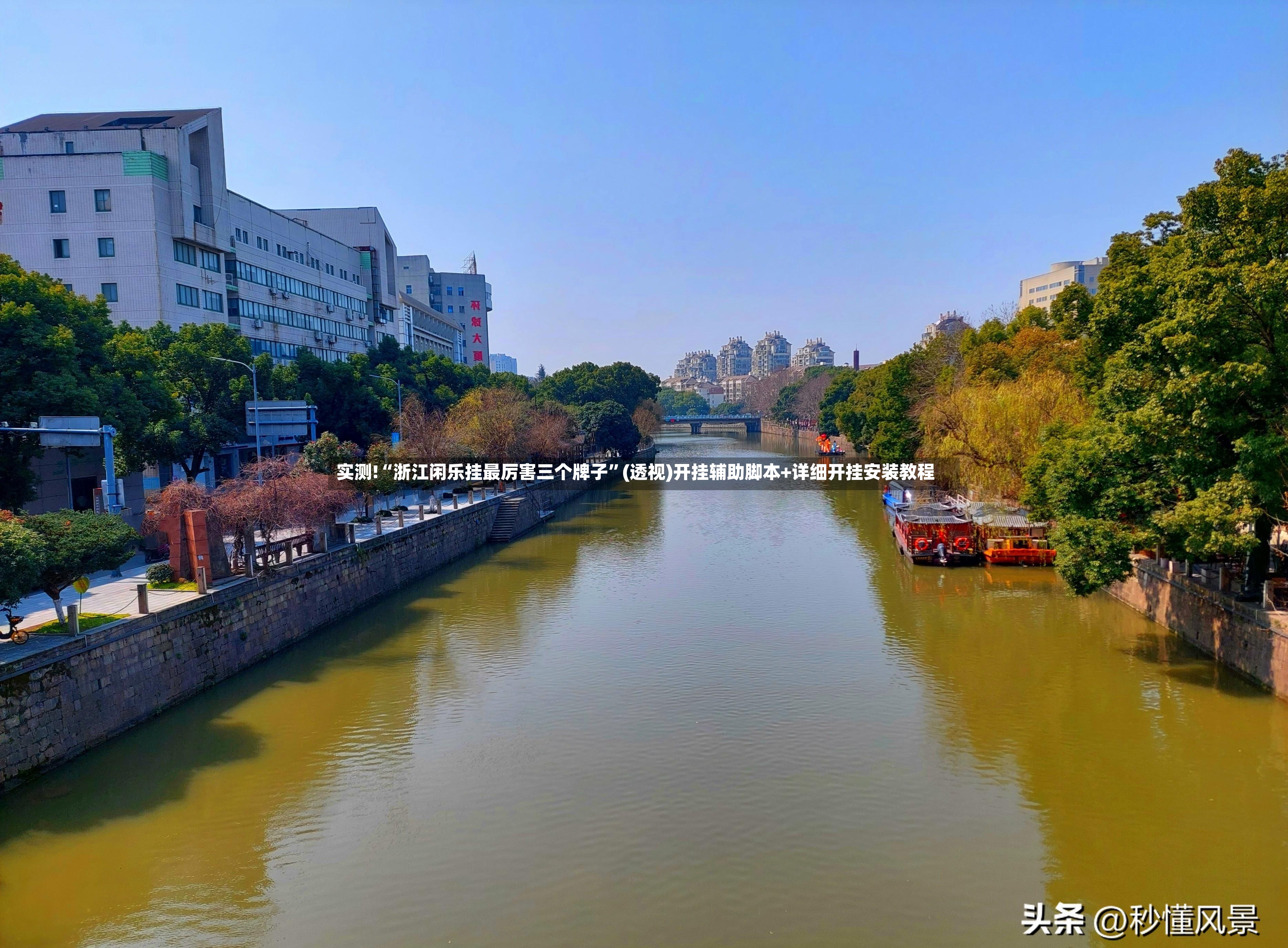 实测!“浙江闲乐挂最厉害三个牌子”(透视)开挂辅助脚本+详细开挂安装教程-第2张图片