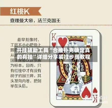 开挂辅助工具“合推扑克确定真的有挂”详细分享装挂步骤教程-第3张图片