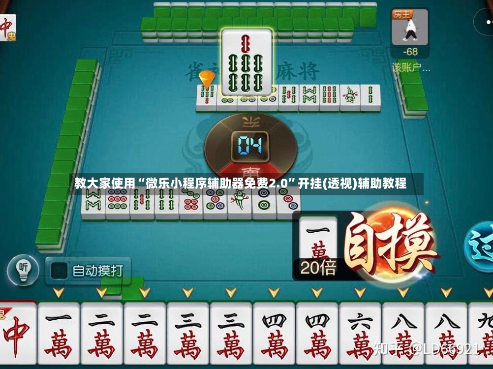 教大家使用“微乐小程序辅助器免费2.0”开挂(透视)辅助教程-第2张图片