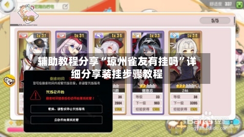 辅助教程分享“琼州雀友有挂吗”详细分享装挂步骤教程