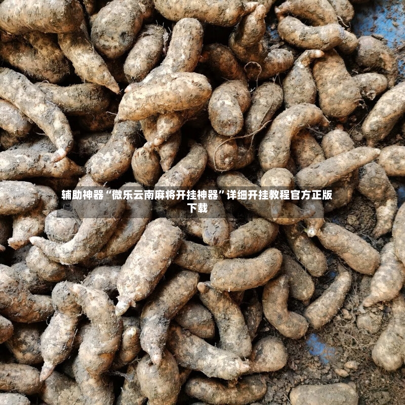 辅助神器“微乐云南麻将开挂神器”详细开挂教程官方正版下载-第2张图片