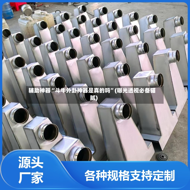 辅助神器“斗牛外卦神器是真的吗”(曝光透视必备猫腻)-第2张图片