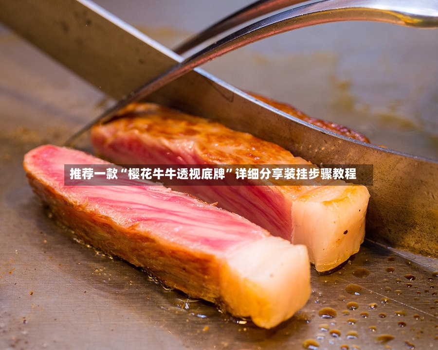 推荐一款“樱花牛牛透视底牌”详细分享装挂步骤教程-第2张图片