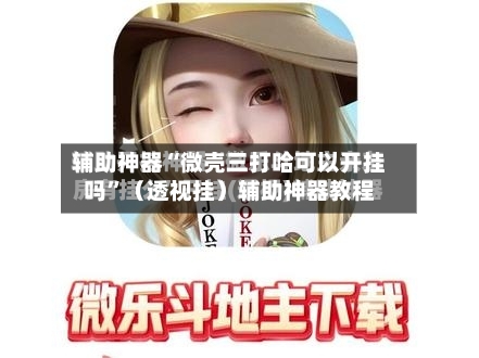辅助神器“微壳三打哈可以开挂吗”（透视挂）辅助神器教程-第2张图片