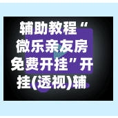 辅助教程“微乐亲友房免费开挂”开挂(透视)辅助神器-第3张图片