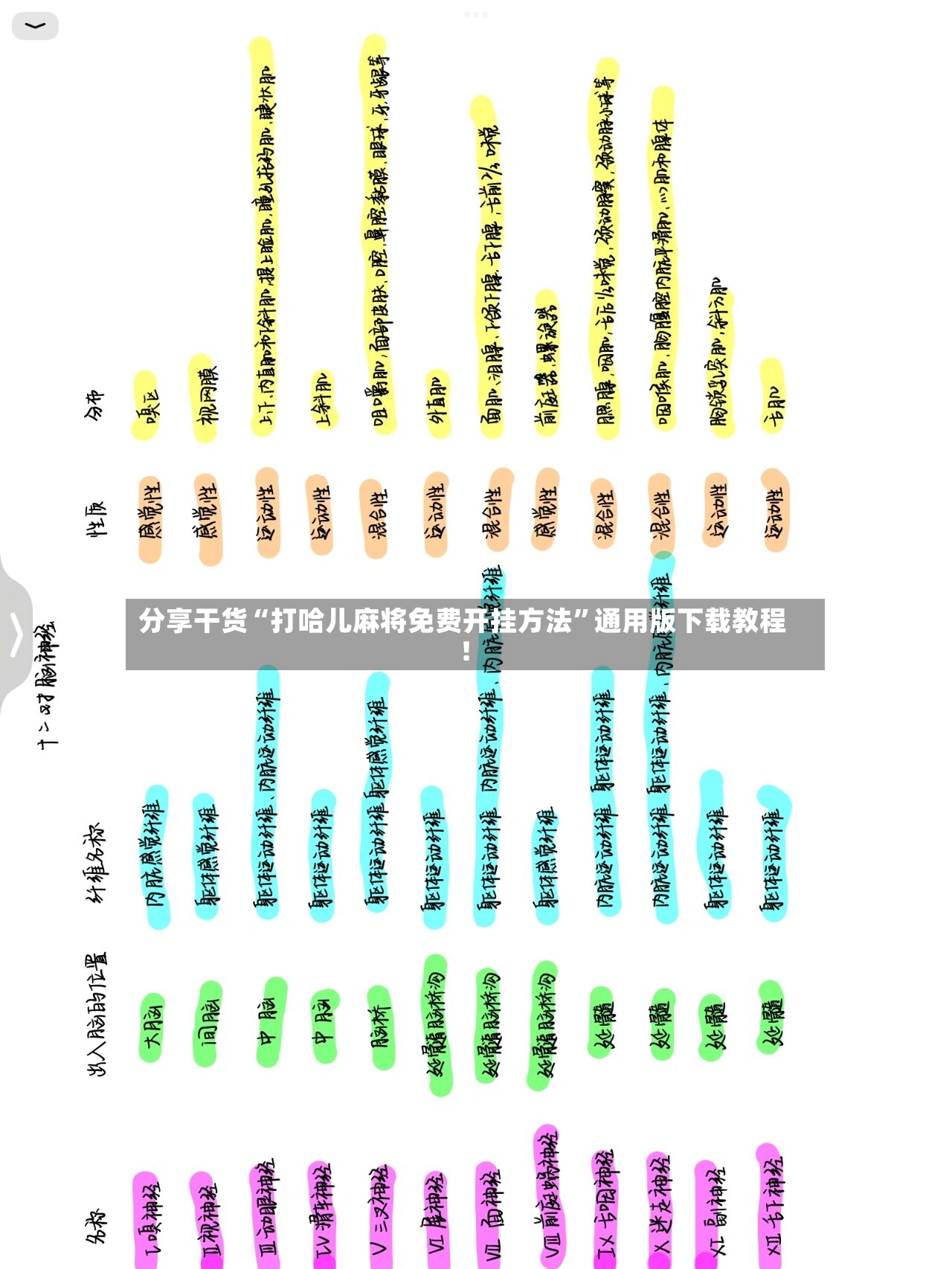 分享干货“打哈儿麻将免费开挂方法”通用版下载教程！